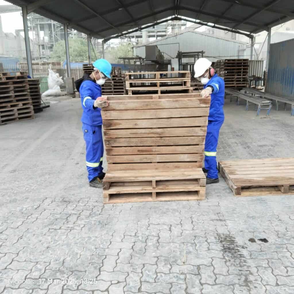 staff-sorting-pallets-2-scaled.jpg
