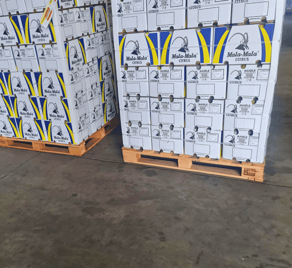 Image of stacked citrus fruit boxes on wooden pallets at warehouse or distribution centre.