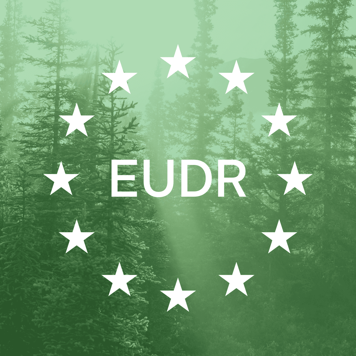 eudr sign on green background